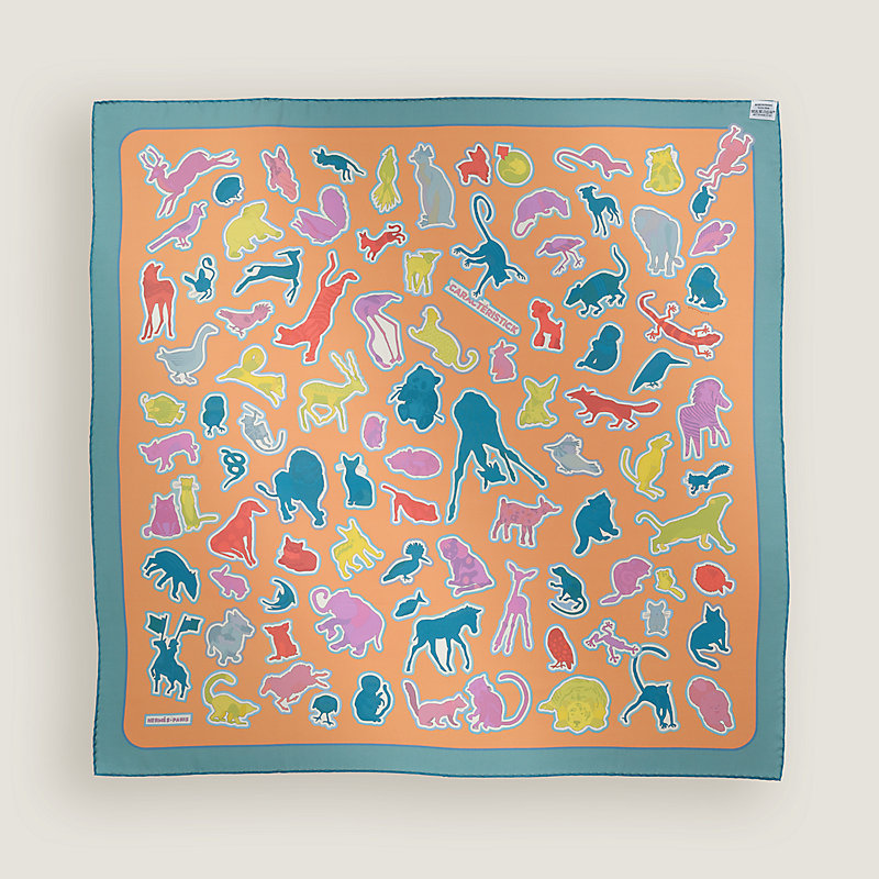 Lenço 90 dupla face Caracteristick | Hermès Brasil